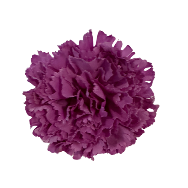 80.png