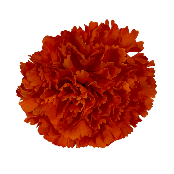 76.png